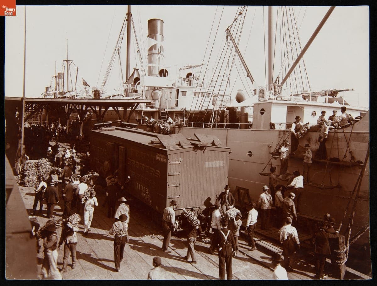 Unloading Bananas from Steamer, New Orleans, Louisiana, 1900-1910