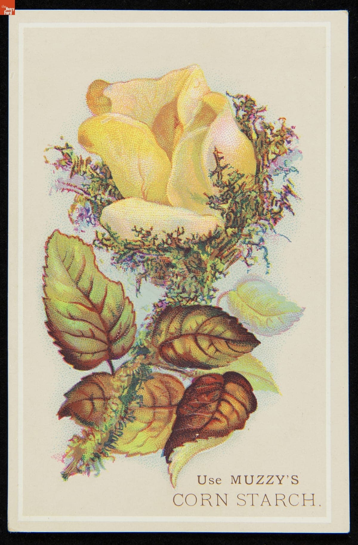 Trade Card for Muzzy's Corn Starch, Muzzy Starch Co., 1880-1900