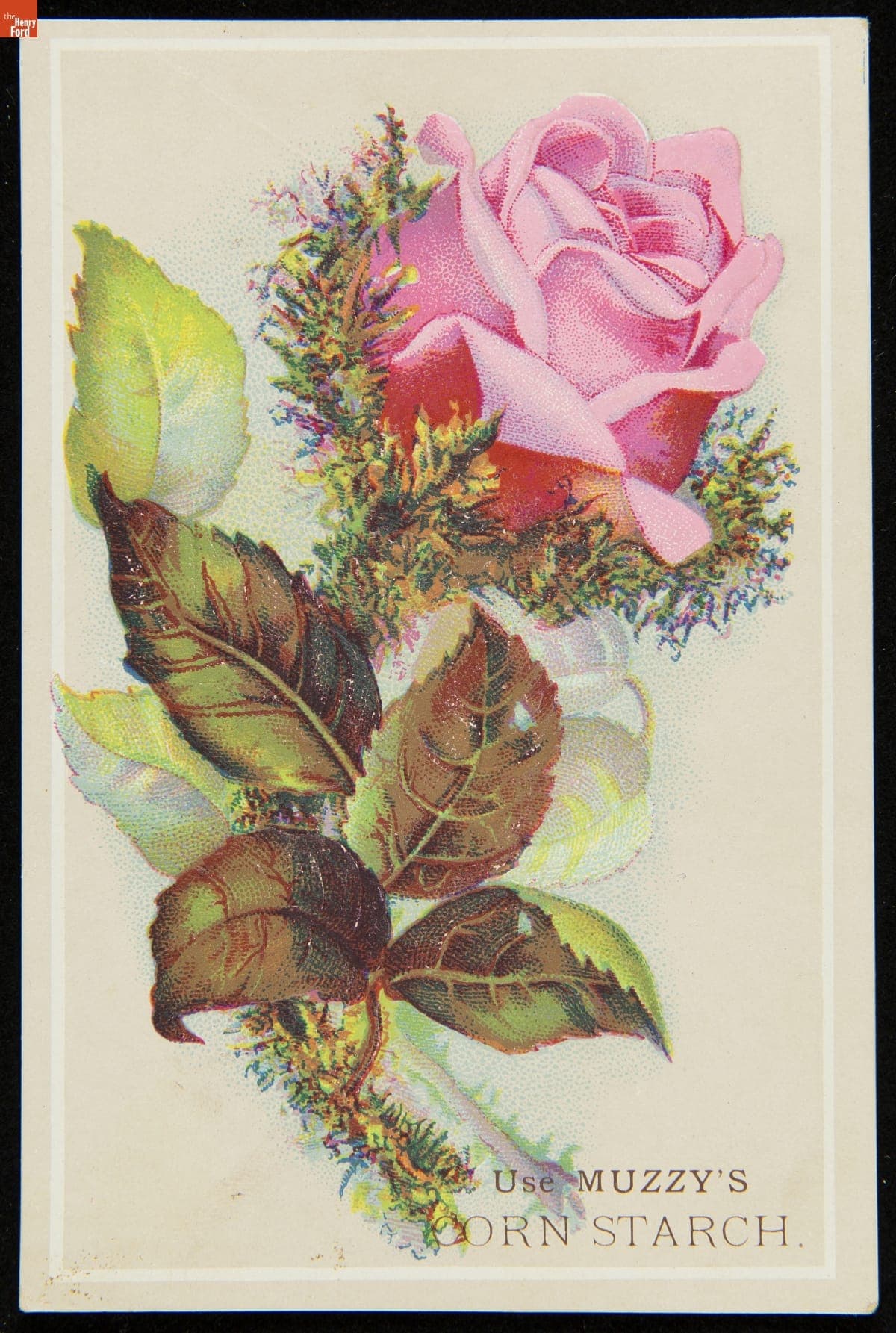 Trade Card for Muzzy's Corn Starch, Muzzy Starch Co., 1880-1900