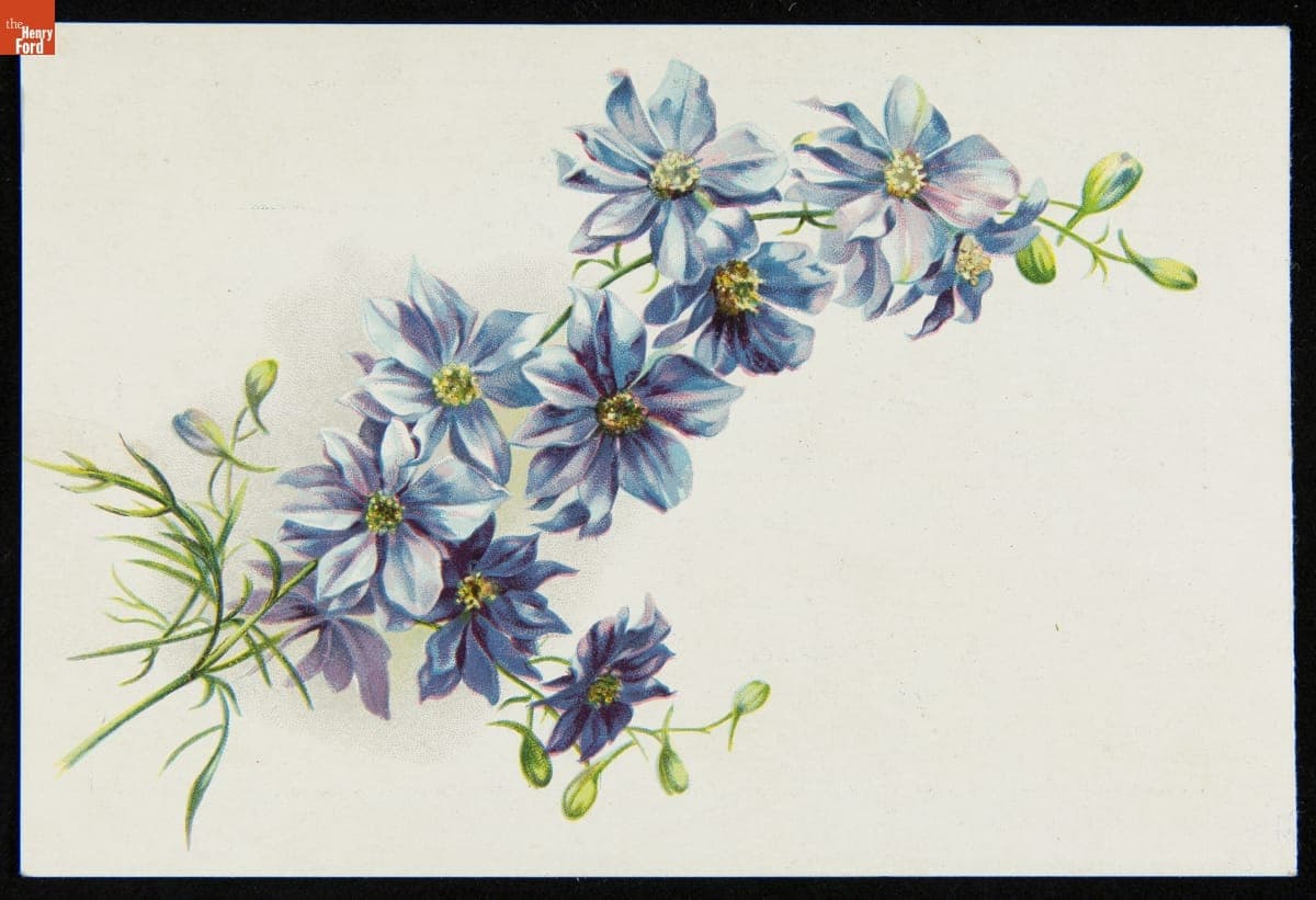 Trade Card for Star Clothing Cooperative Company, 1902