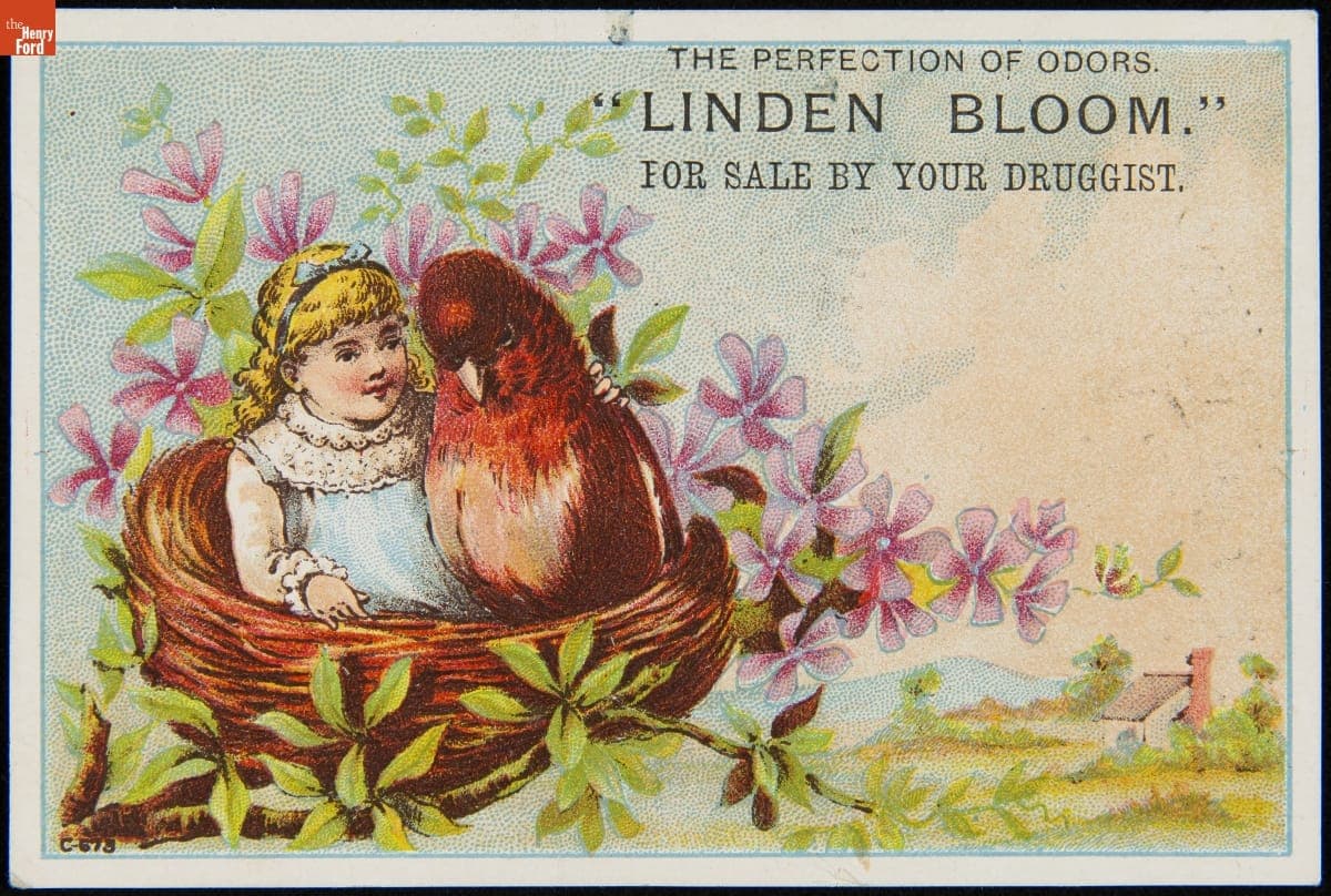 Trade Card for Foote & Jenks, "The Perfection of Odors "Linden Bloom" For Sale By Your Druggist," 1884-1900