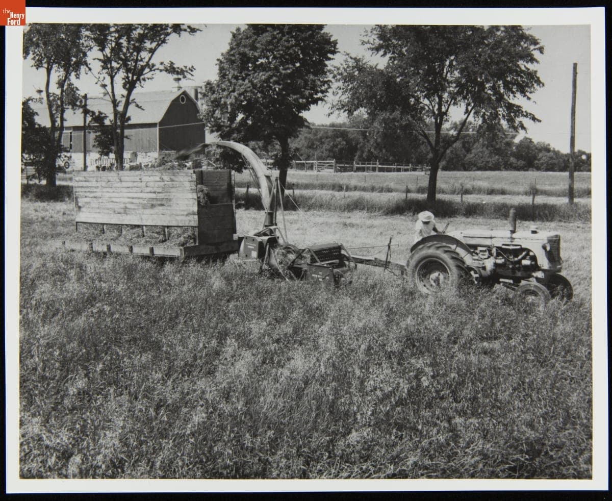 Men Using Field Forage Harvester, circa 1952