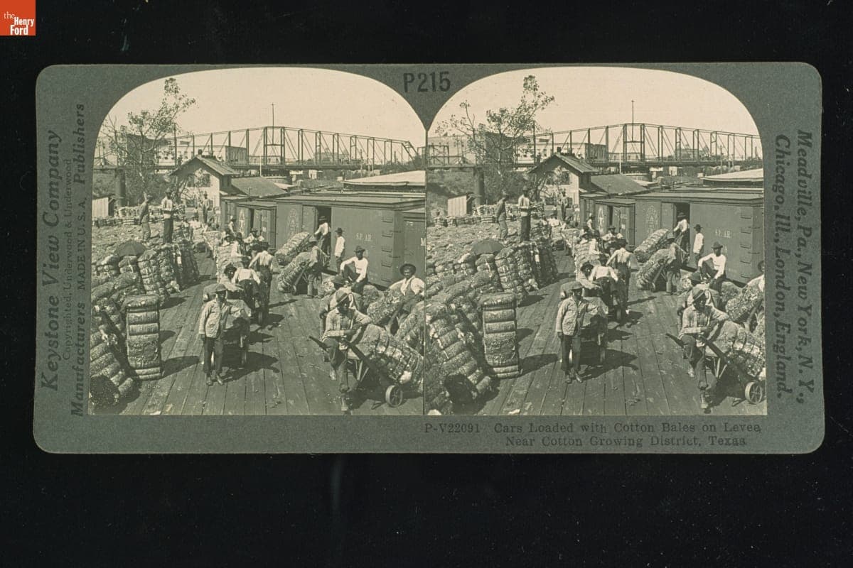 Cars Loaded with Cotton Bales on Levee, near Cotton Growing District, Texas, circa 1920