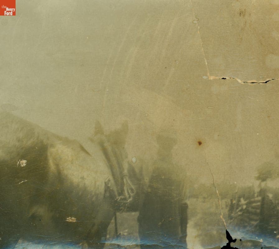 Julius Hunter, Husband of Susana Allen Hunter, on the Farm with the Hunters' Mule, June 1960