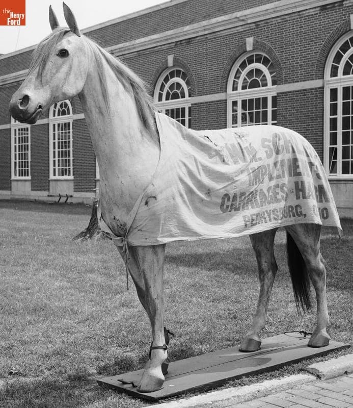 Horse Mannequin, Used in Perrysburg, Ohio, circa 1900