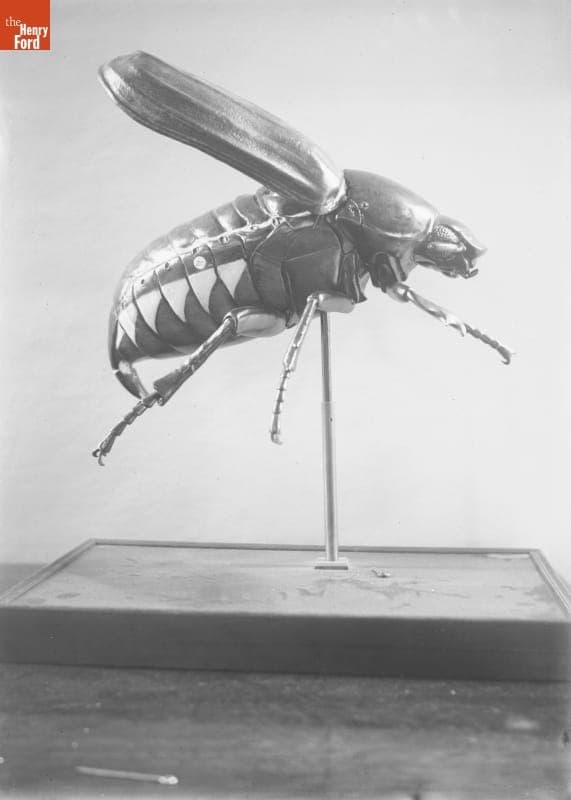 Children's Museum, Model of a Beetle, 1890-1915