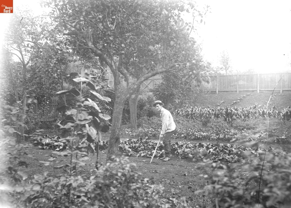 City Garden, Sterling Place Gardener, 1890-1915