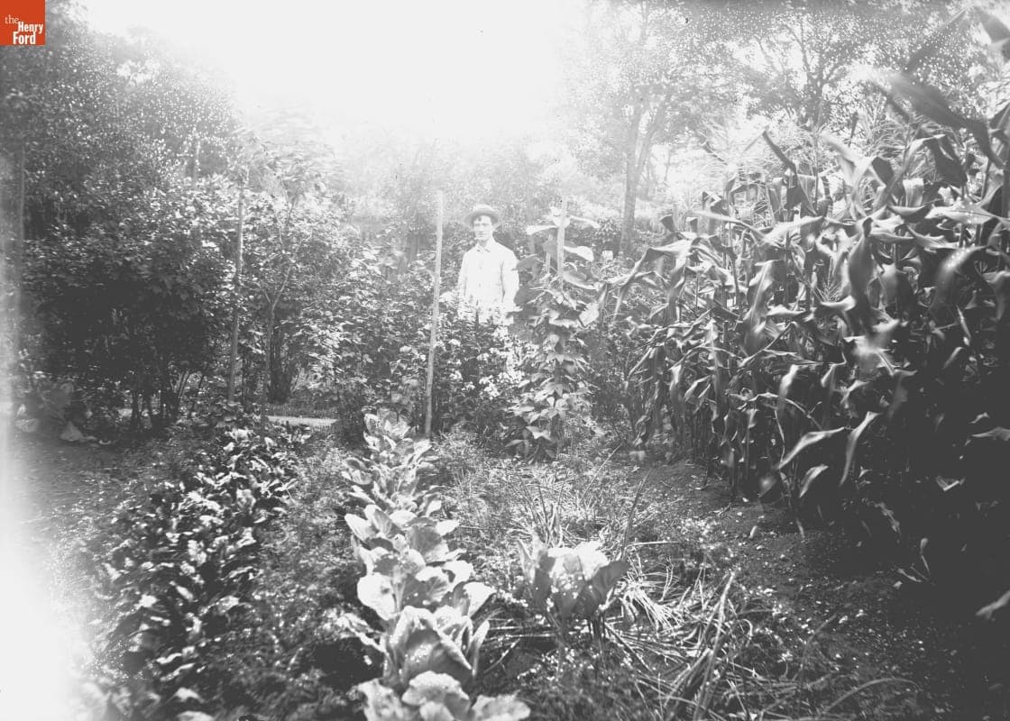 City Garden, Sterling Place, Gardener, 1890-1915