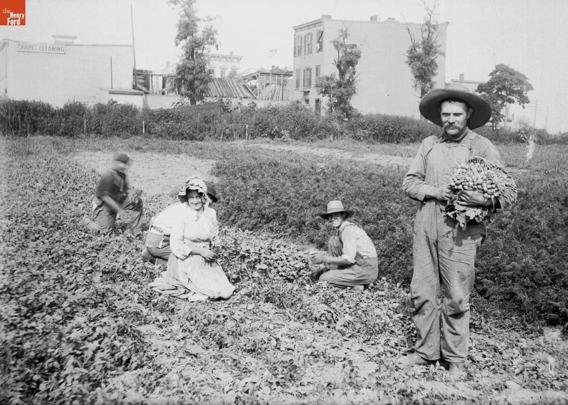 Ridgewood, Gathering Radishes, 1890-1915