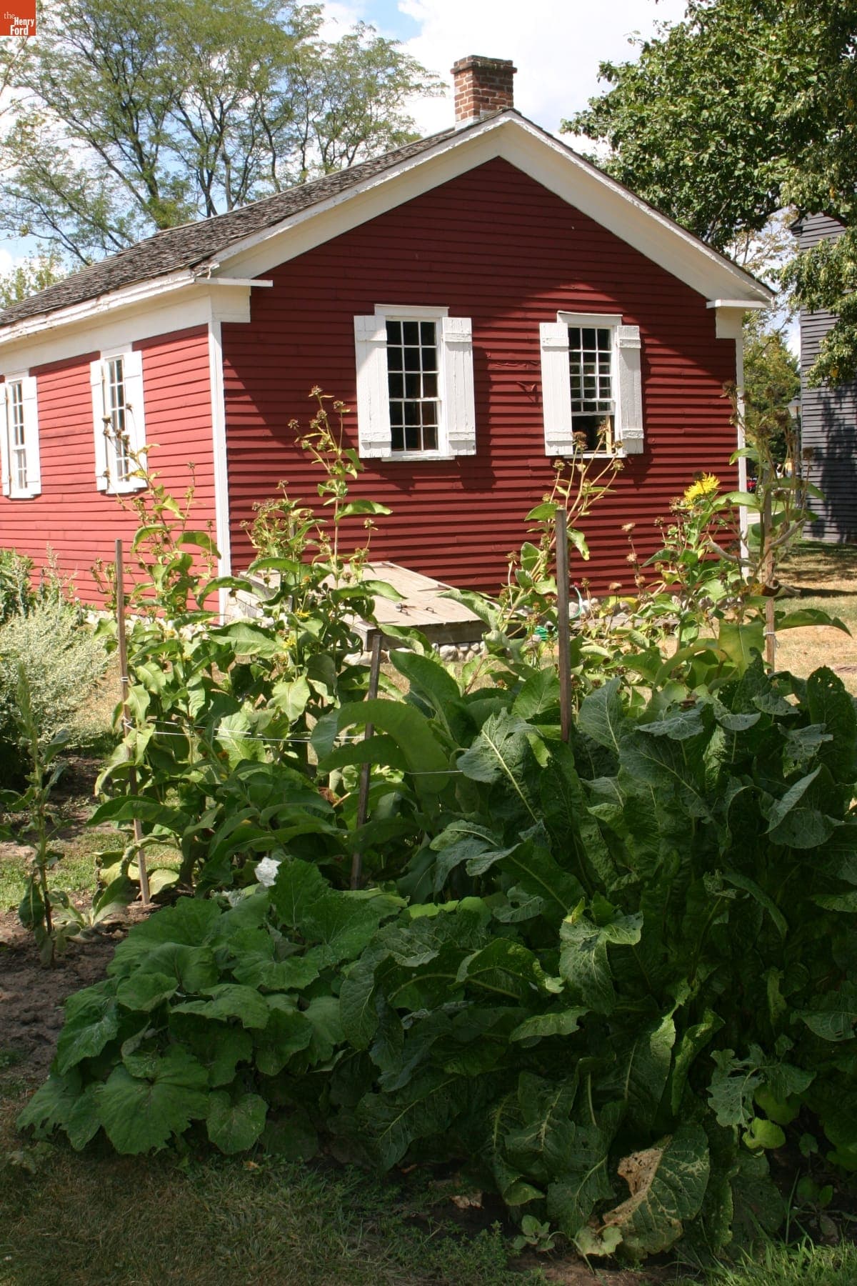 Garden by Dr. Howard's Office in Greenfield Village, August 2008