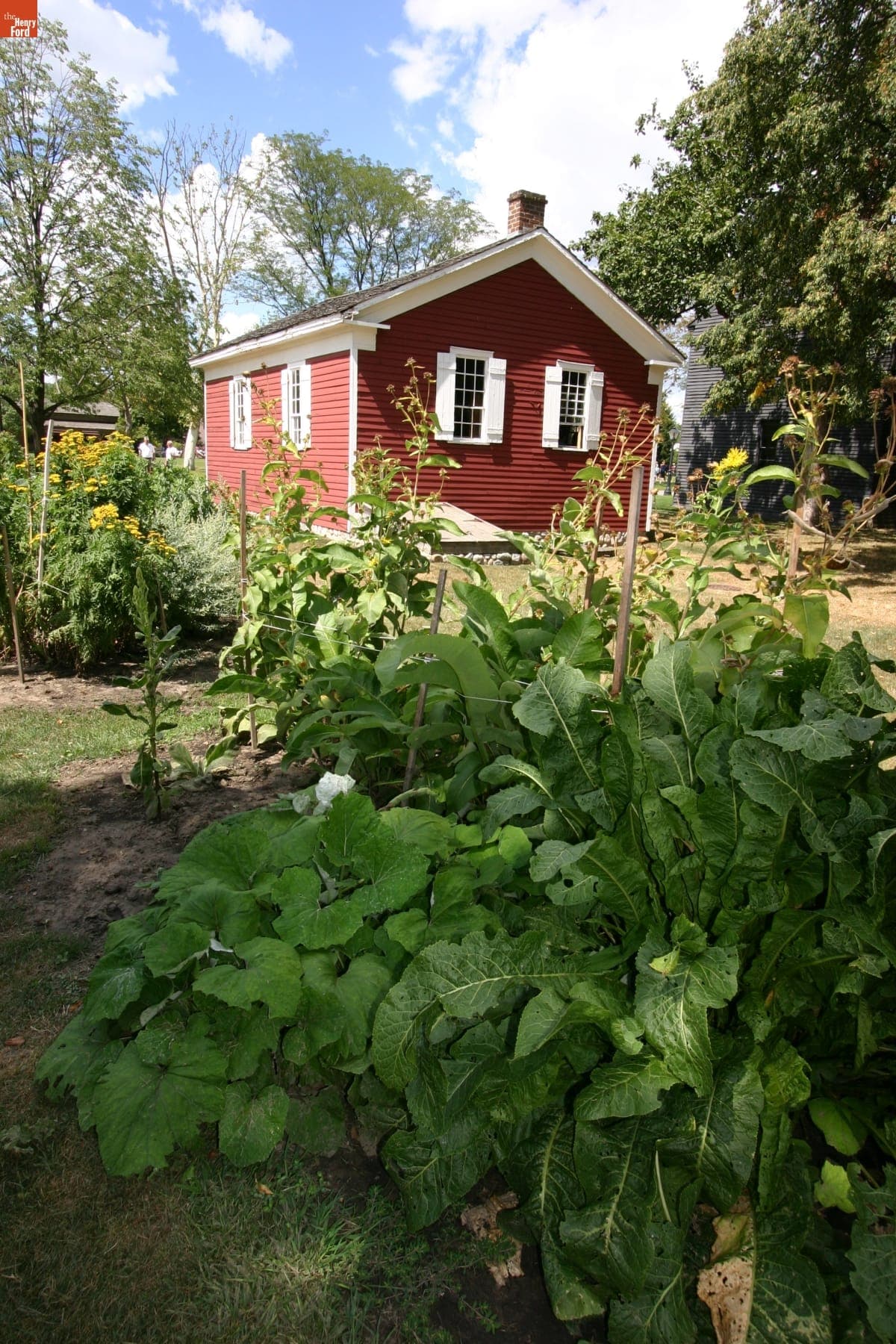 Garden by Dr. Howard's Office in Greenfield Village, August 2008