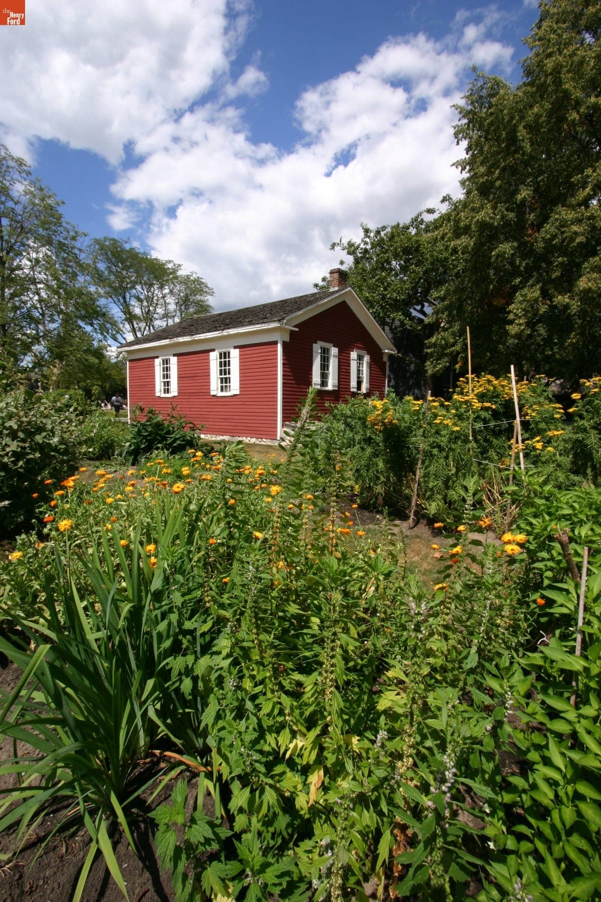 Garden by Dr. Howard's Office in Greenfield Village, August 2008
