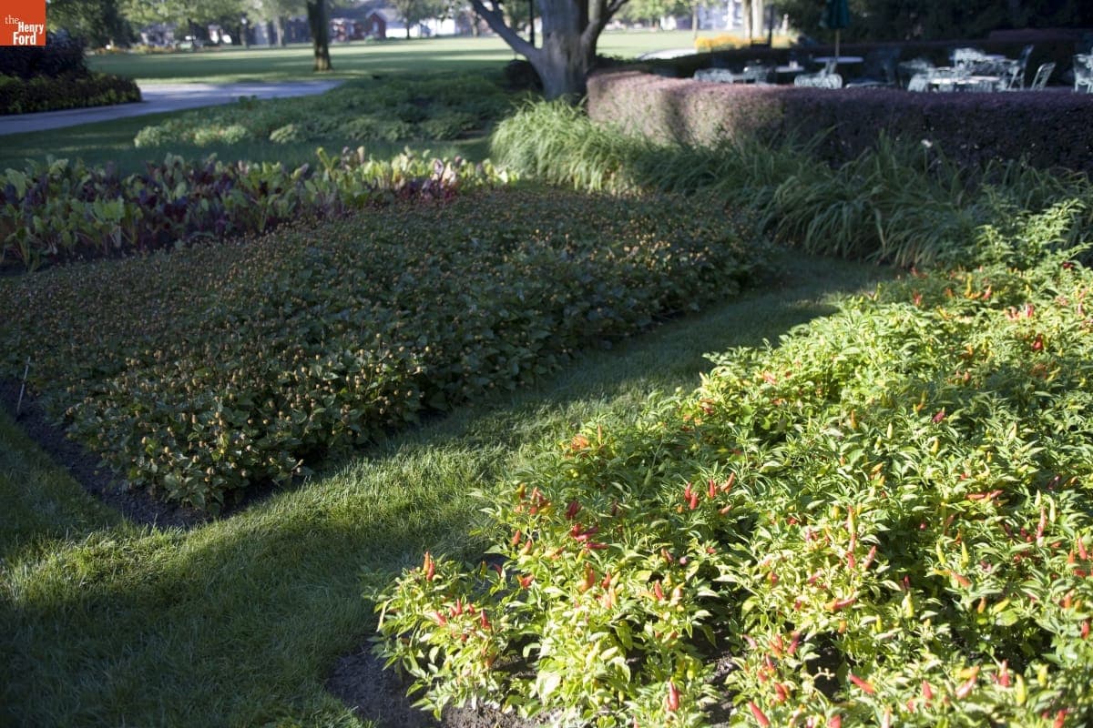 Garden outside A Taste of History Restaurant in Greenfield Village, August 2006