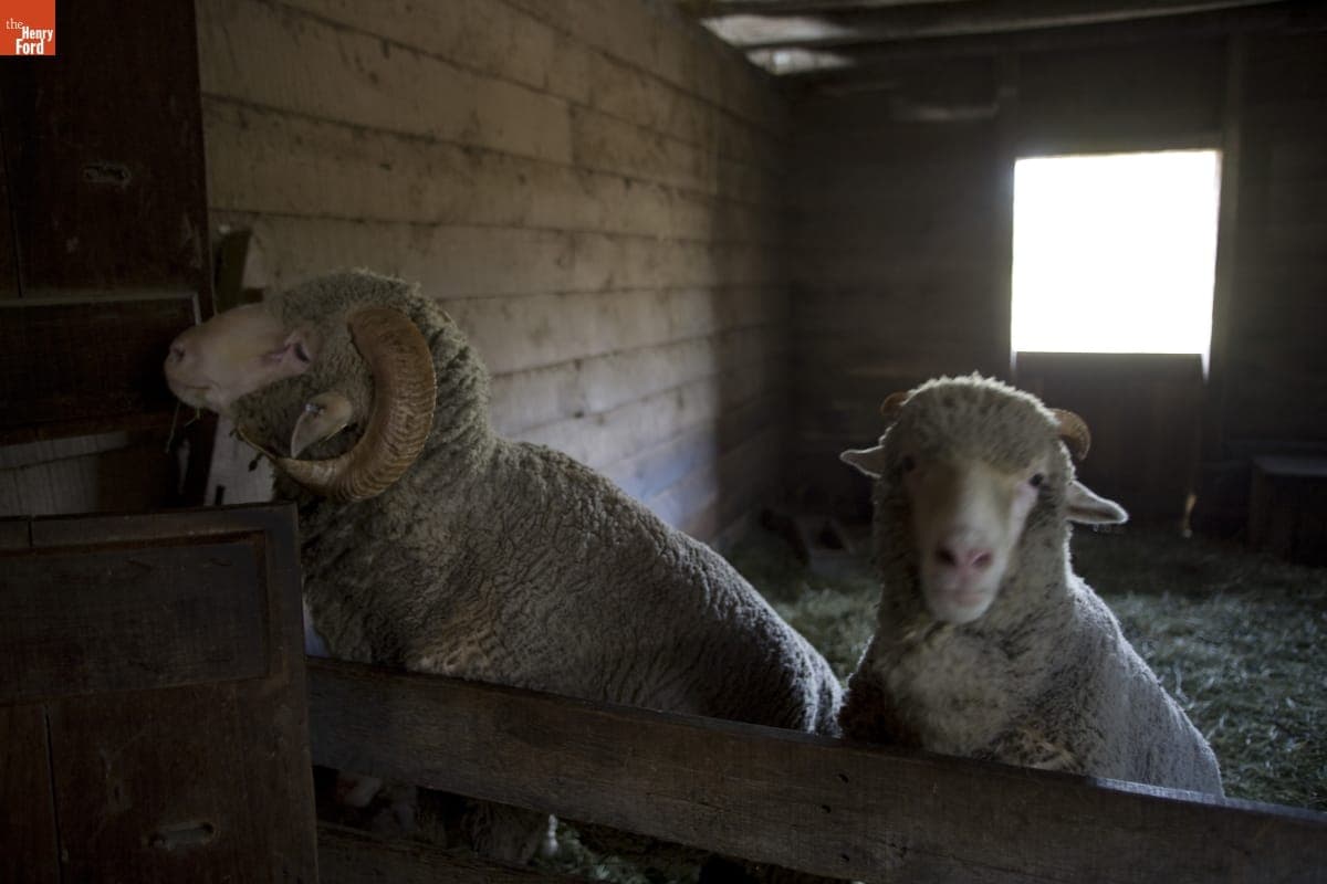 Firestone Farm in Greenfield Village, September 2007