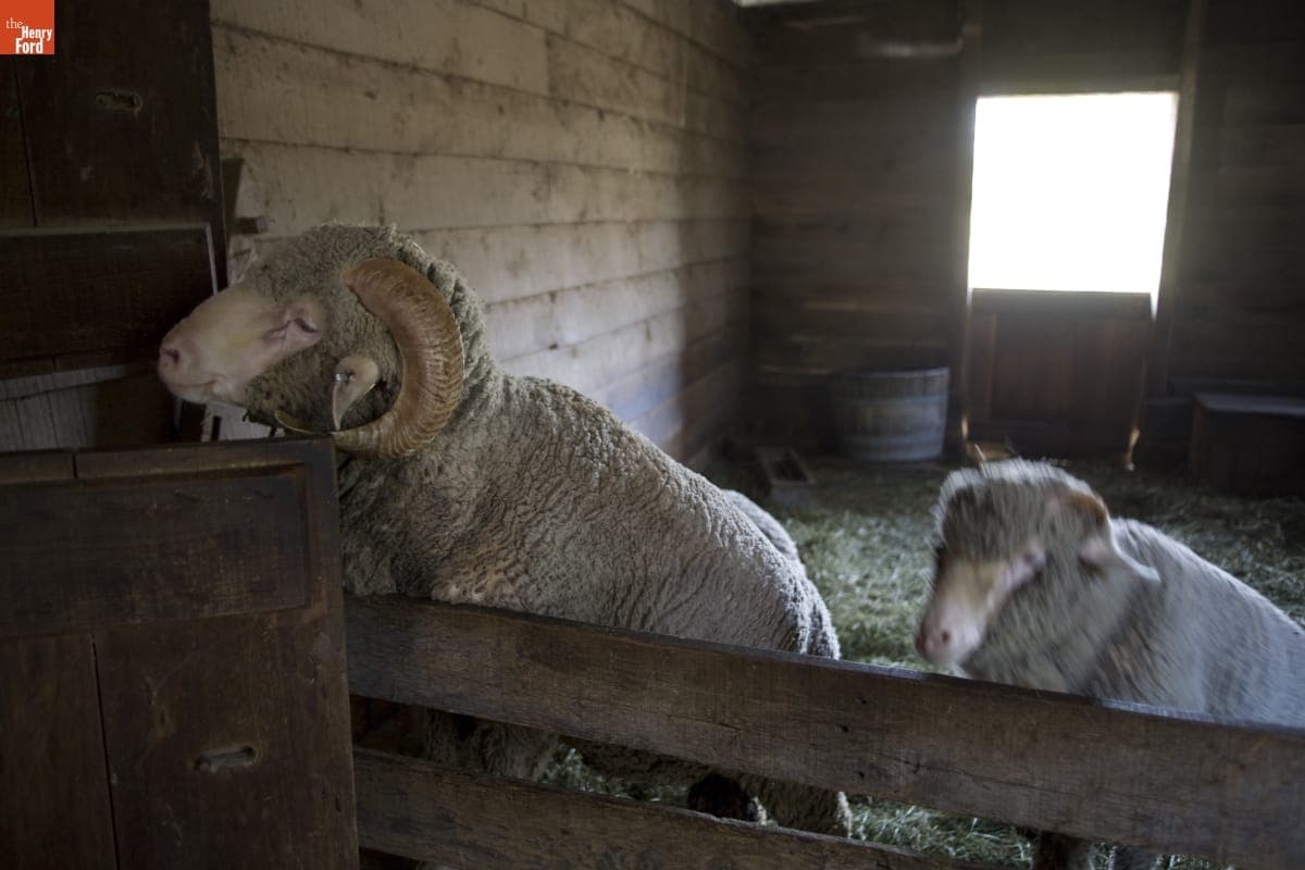 Firestone Farm in Greenfield Village, September 2007