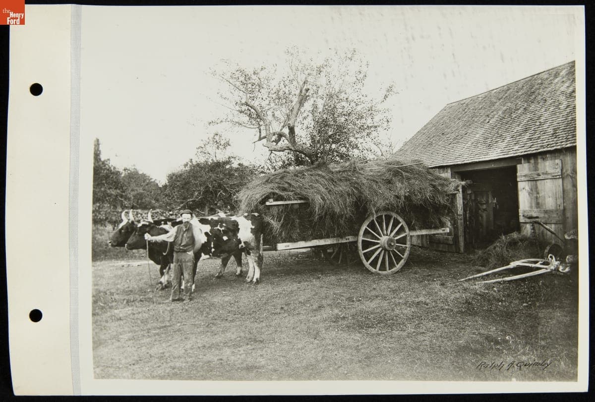 Hay Wagon Drawn by Oxen, York, Maine, 1890