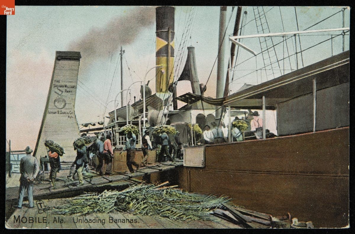 Postcard, "Mobile, Ala. Unloading Bananas," 1905