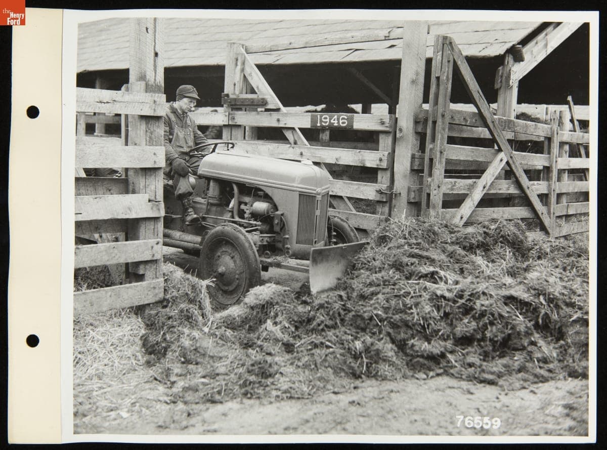 Using a Ford-Ferguson Tractor for Manure Removal at the Detroit Stockyards, January 1942