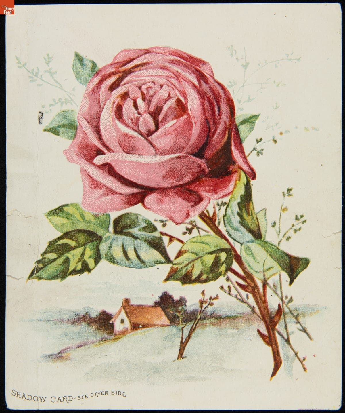 Trade Card for Lion Coffee, Woolson Spice Co., 1895