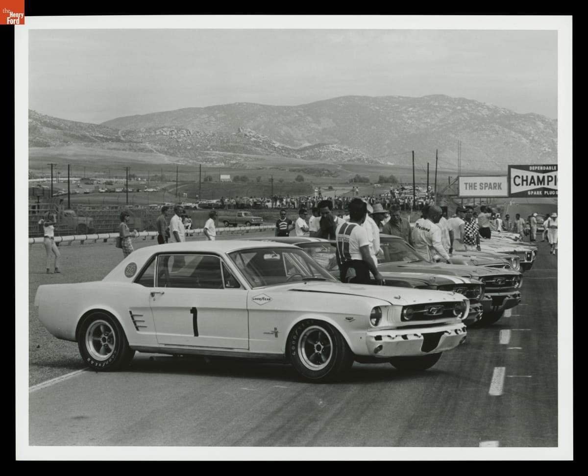 Ford Mustangs at the Riverside Trans Am Race, September 1966