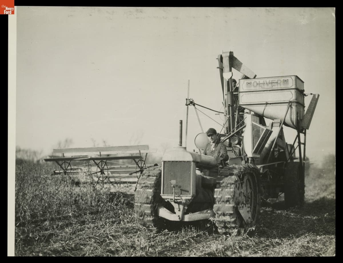 Harvesting Soybeans at Ford Farms, Southeast Michigan, circa 1932