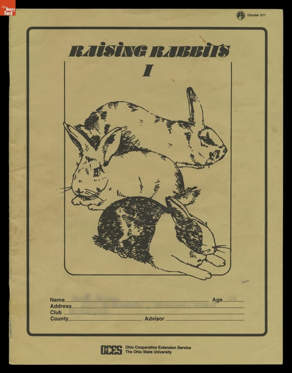 Raising Rabbits I, 4-H Project Book, 1988