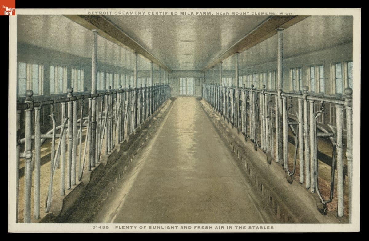 Plenty of Sunlight and Fresh Air in the Stables, 1920-1930