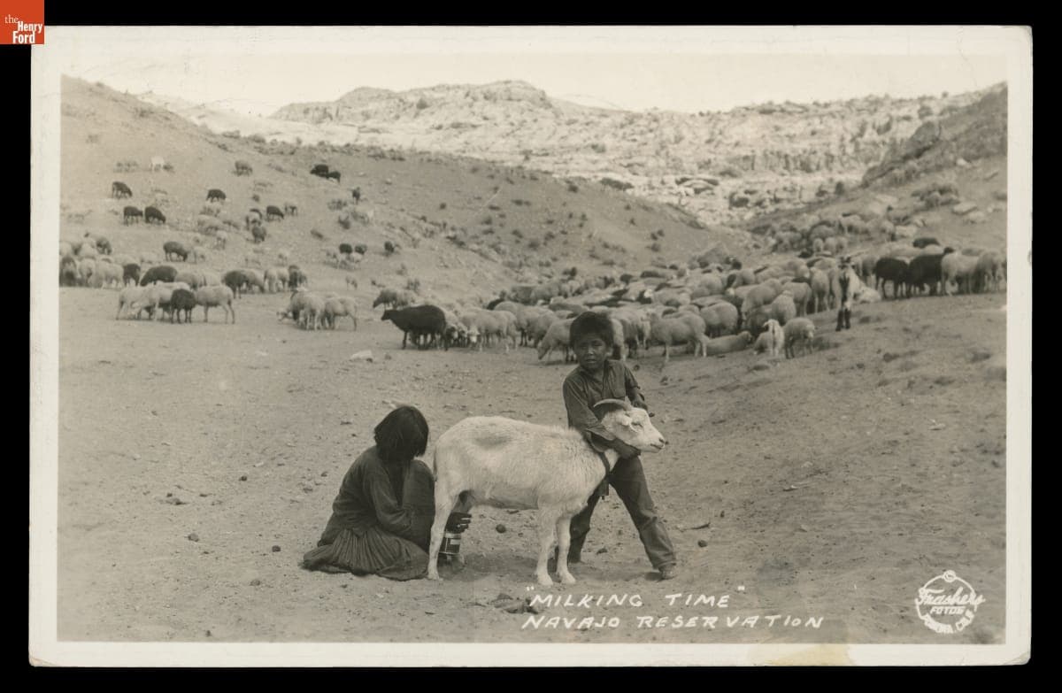 Milking Time, Navajo Reservation, circa 1935