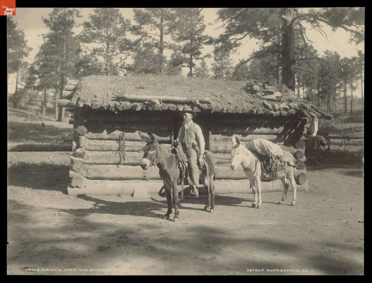 Hance and His Burros, circa 1895