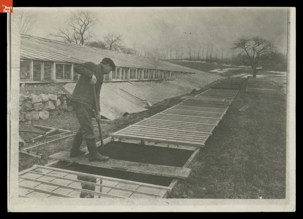 Starting Plants in a Hot Bed, circa 1923