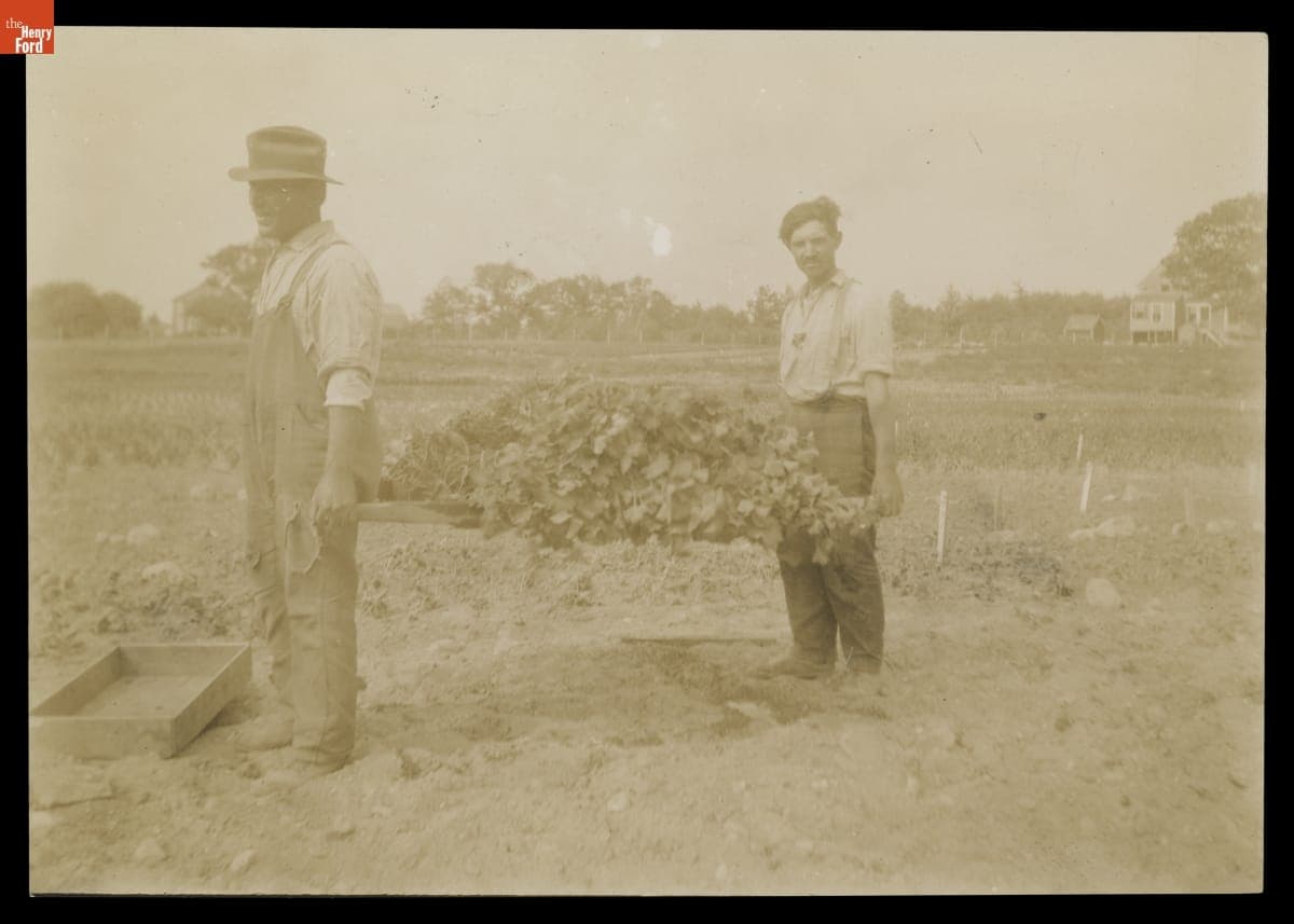 Moving Plants in a Nursery, circa 1923