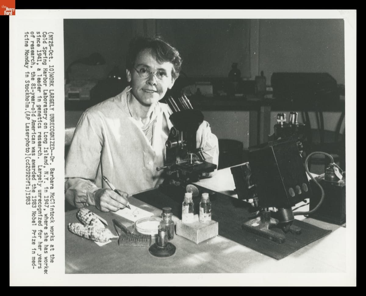 Dr. Barbara McClintock, Winner of the Nobel Prize in Medicine, in Her Laboratory, 1983
