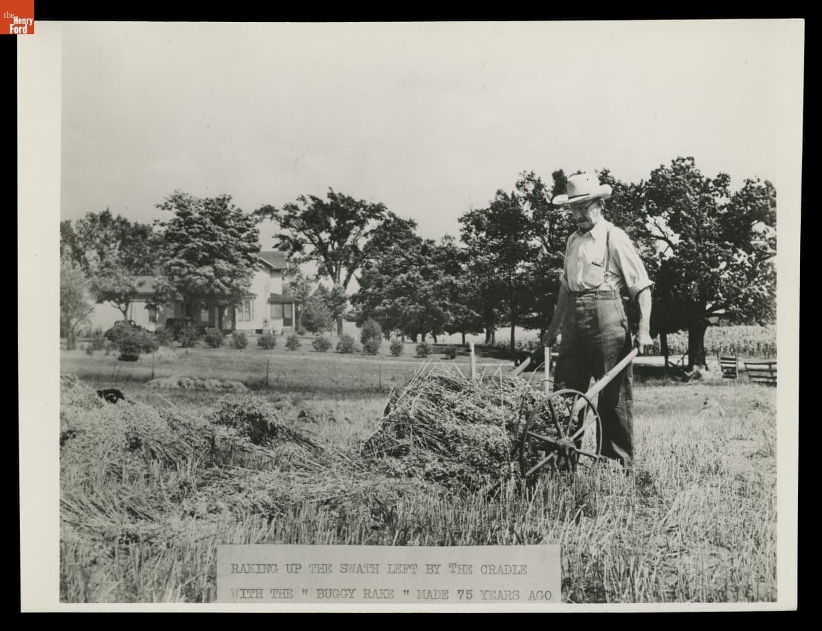 "Raking Up the Swath Left by the Cradle with the 'Buggy Rake' Made 75 Years Ago," H.H. Raby Harvesting Grain, 1944