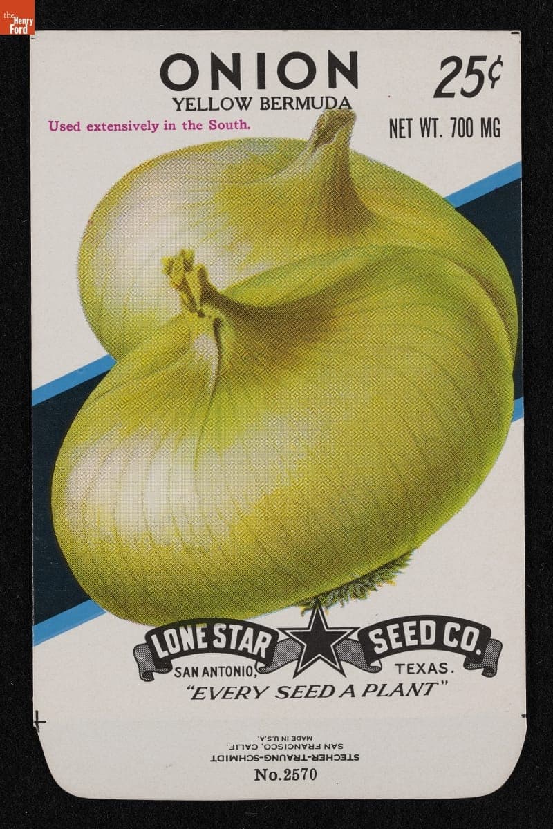 Lone Star Seed Co. "Onion: Yellow Bermuda" Seed Packet, 1977