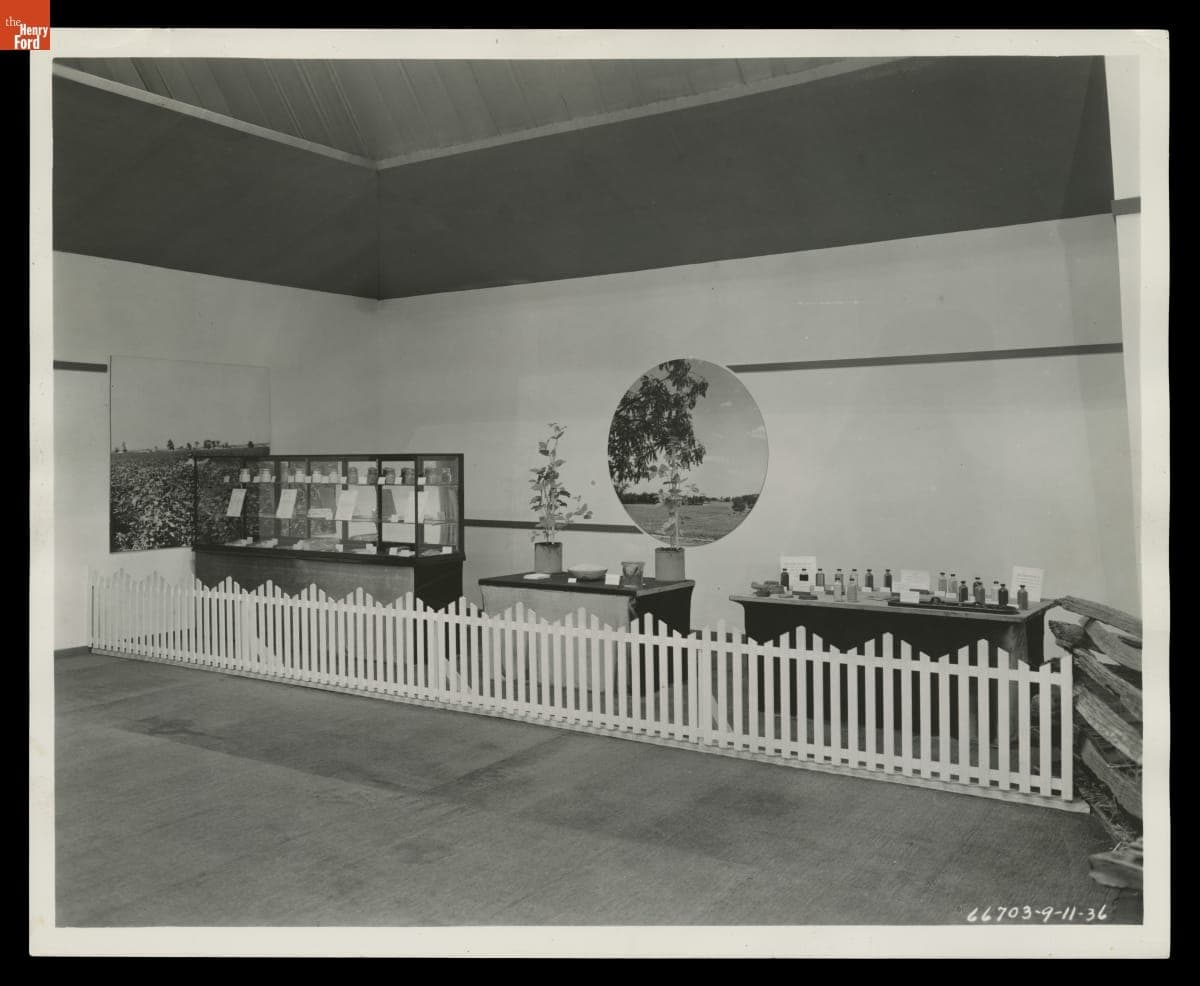 Soybean Exhibit at the Michigan State Fair, September 11, 1936