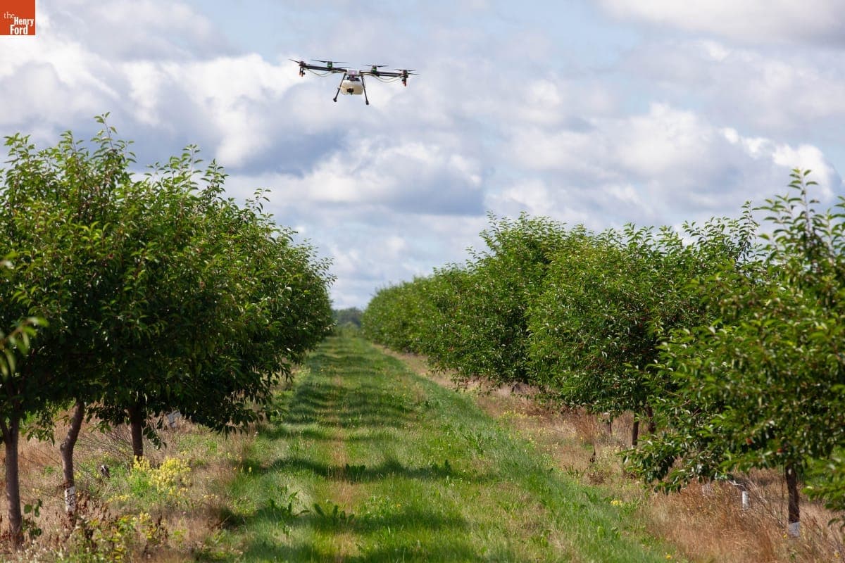 "Agras MG-1" Drone in Flight over Orchard