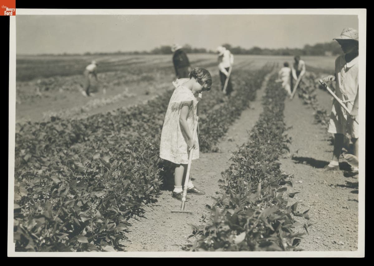 School Children Working in a Garden, Macon, Michigan