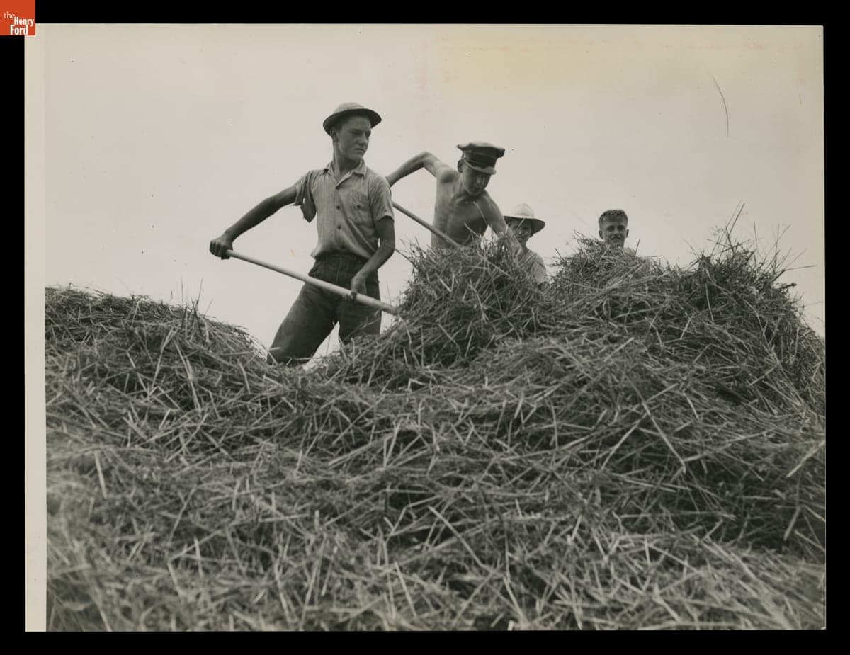 Macon (Michigan) High School Students Lynn House and Robert Bachtel Pitching Straw into a Baler, August 1943