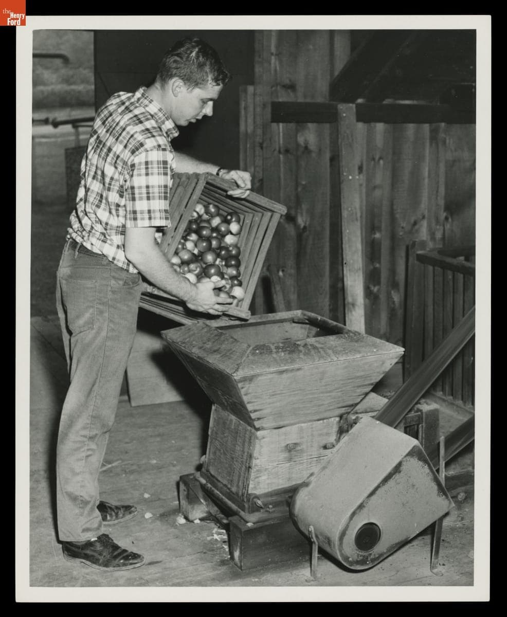 Pouring Apples into Crusher inside the Greenfield Village Cider Mill, October 1967