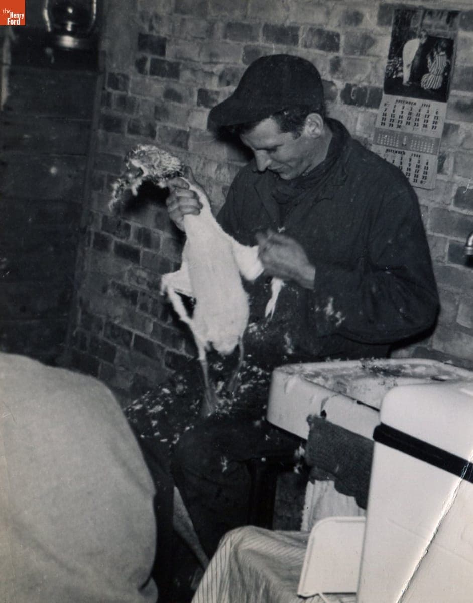 Bob Kelley Plucking a Duck on the Night before Thanksgiving, November 24, 1948