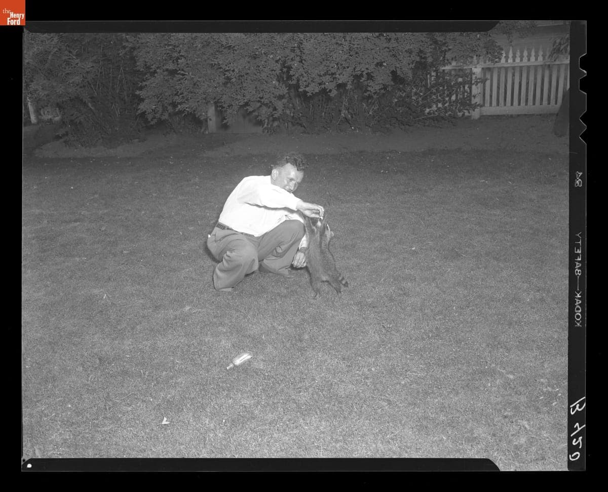 Gus Munchow Feeding Pet Raccoon behind the Sarah Jordan Boarding House, 1949