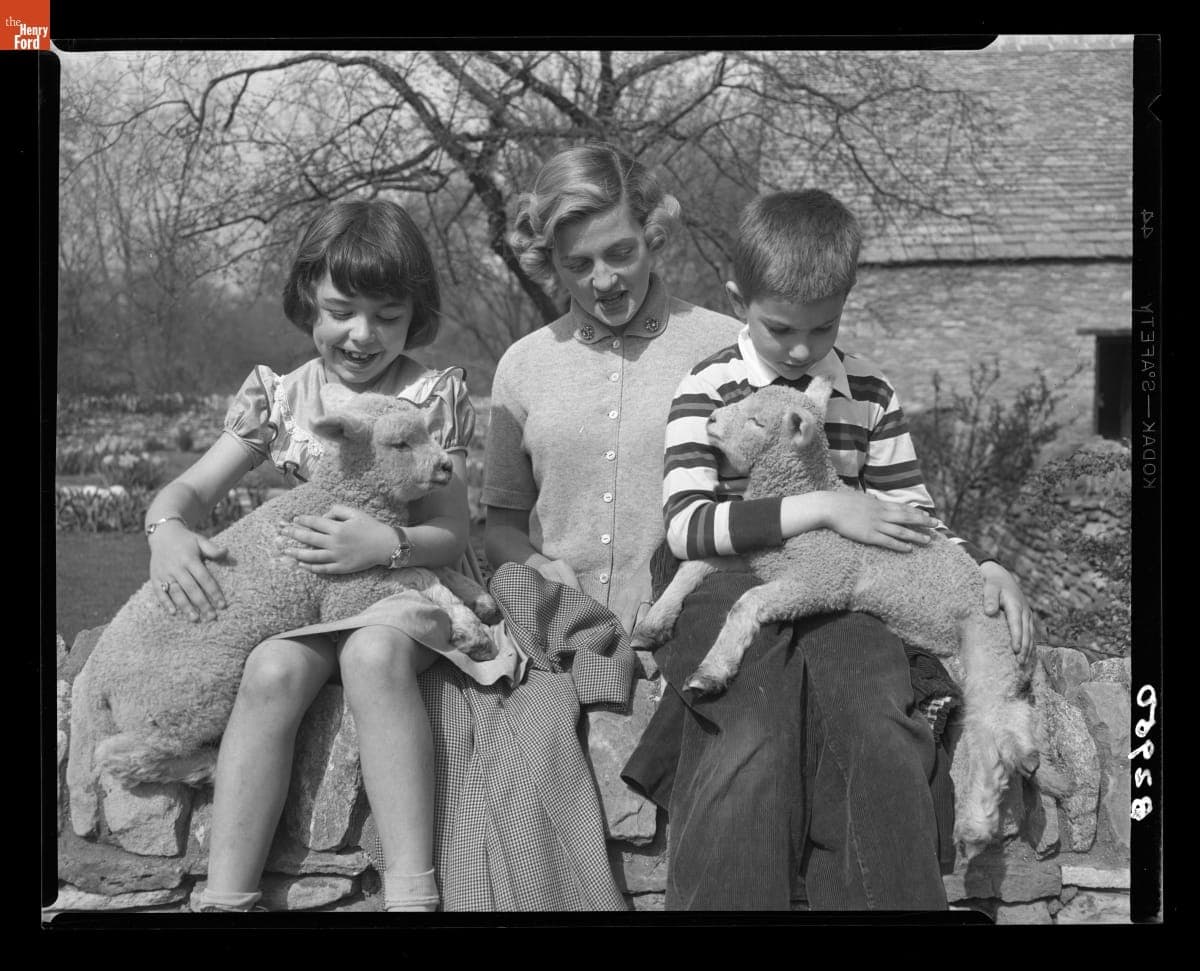 Children Holding Lambs near Cotswold Cottage, May 7, 1953