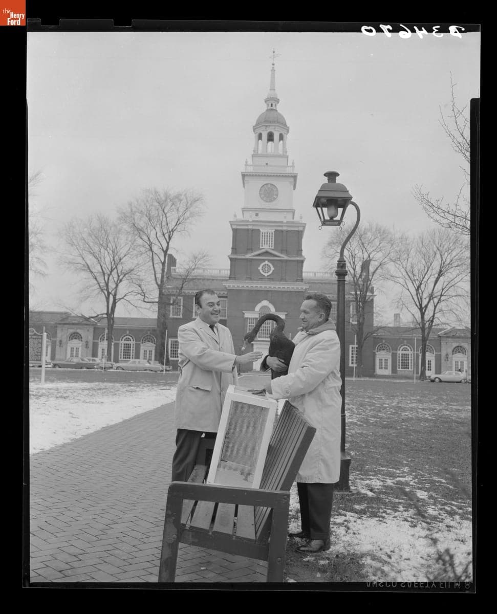 Gus Munchow is Presented with a Rare Australian Black Swan Found at Camp Dearborn, December 1963