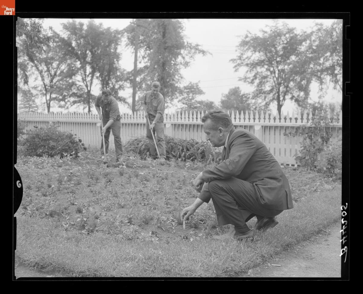 Gus Munchow Inspecting a Garden in Greenfield Village, June 1966