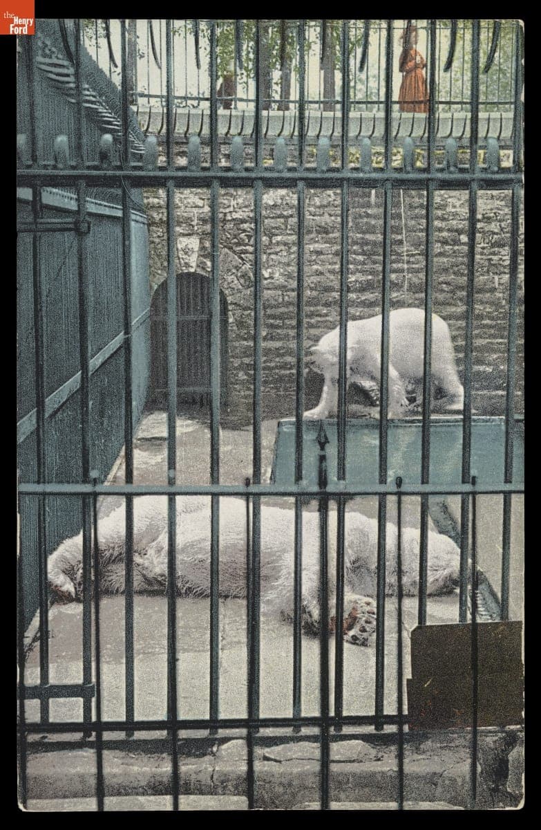 Bear Pit, Belle Isle Park, Detroit, Michigan