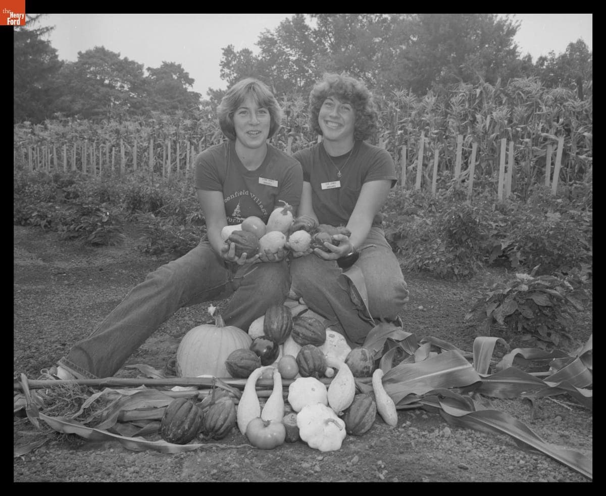 Employees Lynn and Sue Jones Harvesting Vegetables in Greenfield Village, August 1979