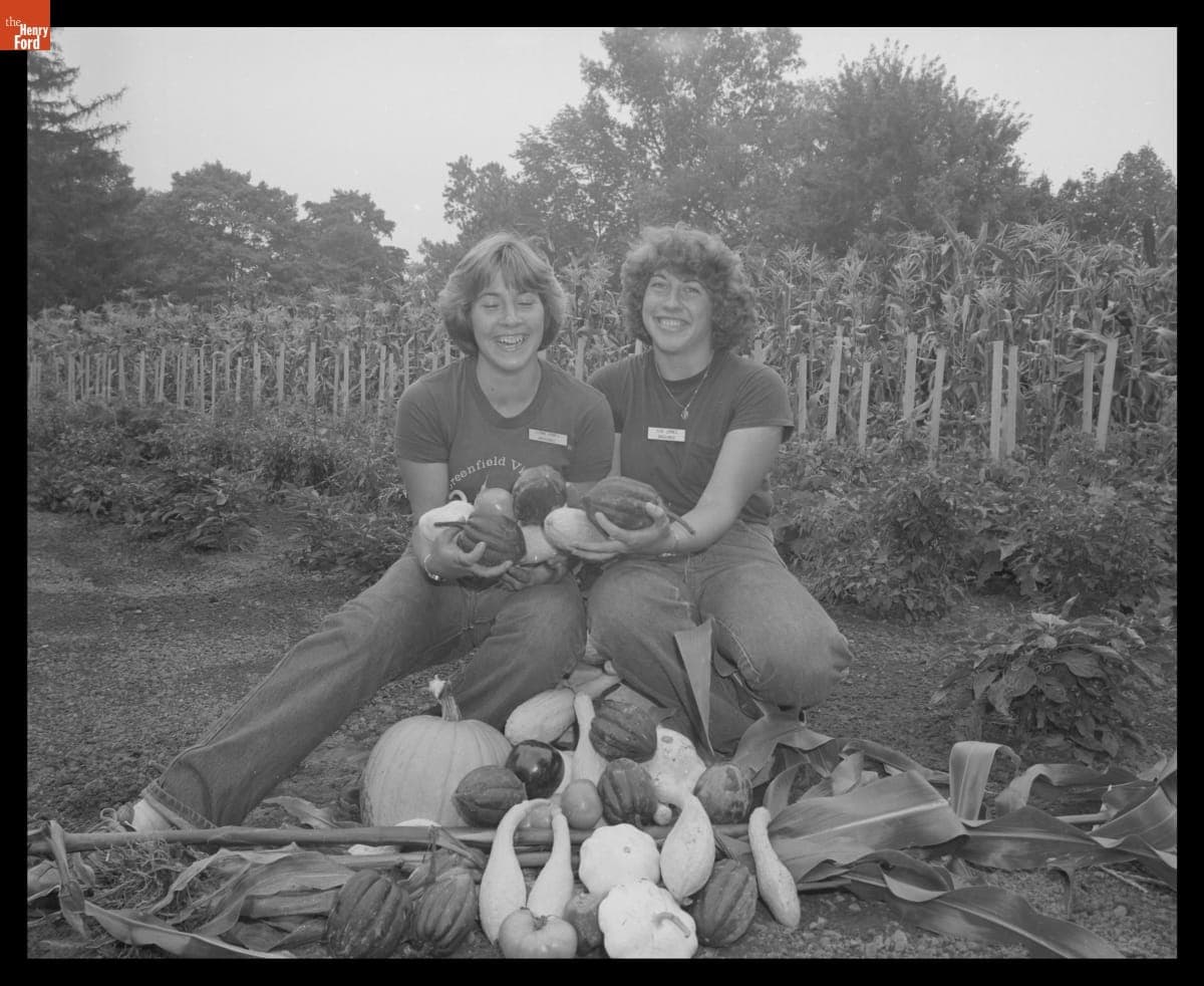 Employees Lynn and Sue Jones Harvesting Vegetables in Greenfield Village, August 1979