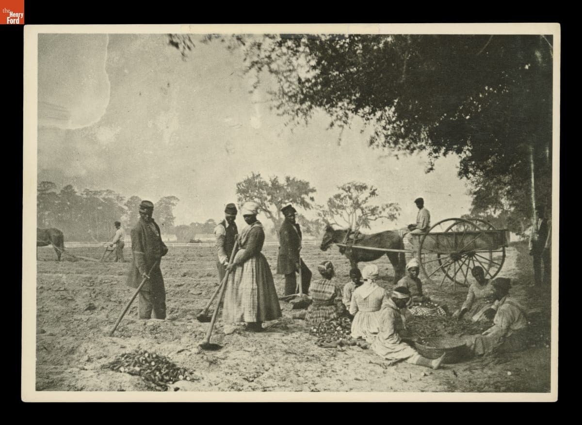 "Planting Sweet Potatoes on the James Hopkinson Plantation, Edisto Island, South Carolina," April 8, 1862
