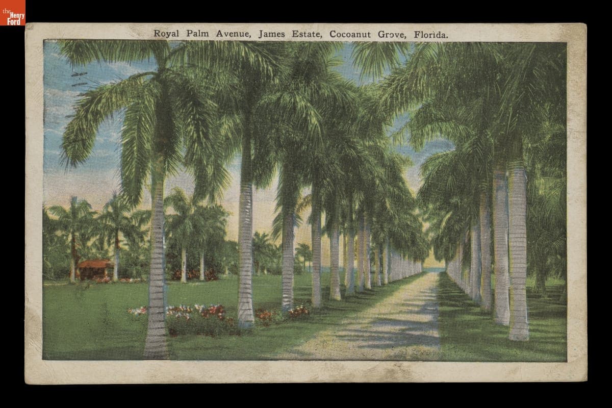"Royal Palm Avenue, James Estate, Cocoanut Grove, Florida," Sent to Andrew Purnell, Postmarked May 10, 1926