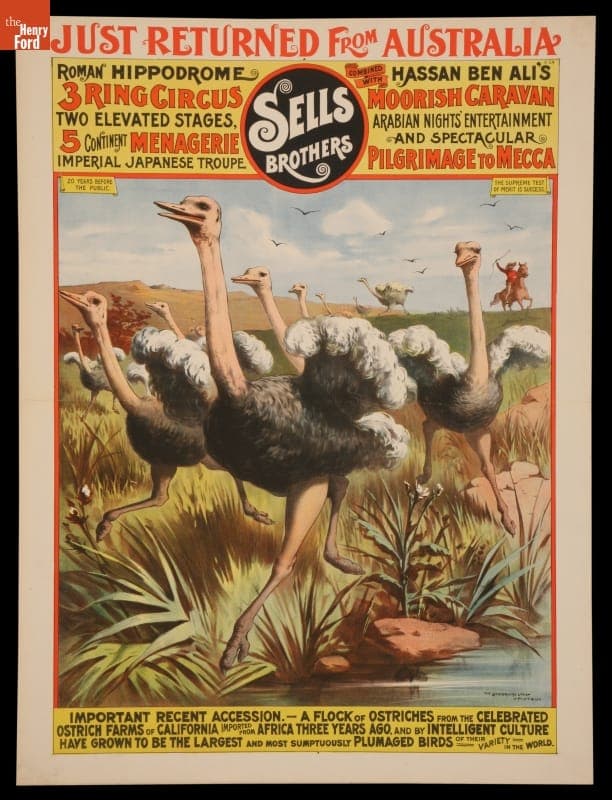 Circus Poster, Sells Brothers Circus: "Just Returned From Australia," circa 1892